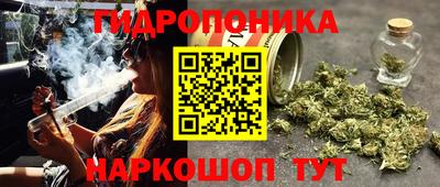 спайс Гагарин